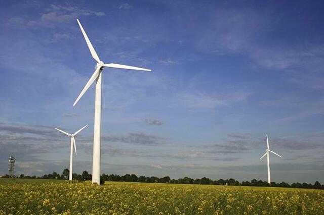 Ökostrom: Bürgerenergiegenossenschaften prägen zunehmend die deutsche Energielandschaft. Quelle: istockphoto.com